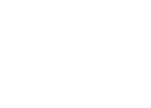 Mowilex Logo