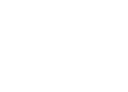 Boga Group Logo
