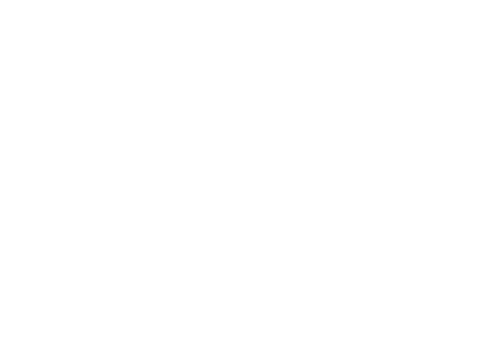 SPOTS Logo
