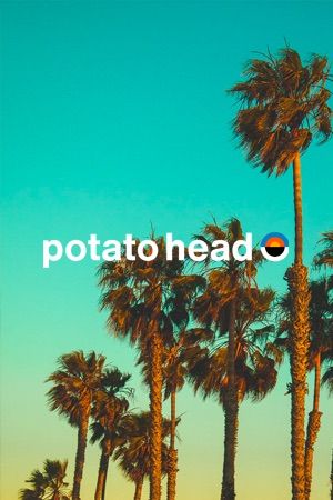 Client Logo: Potatohead